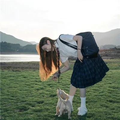 屋顶里的散步者